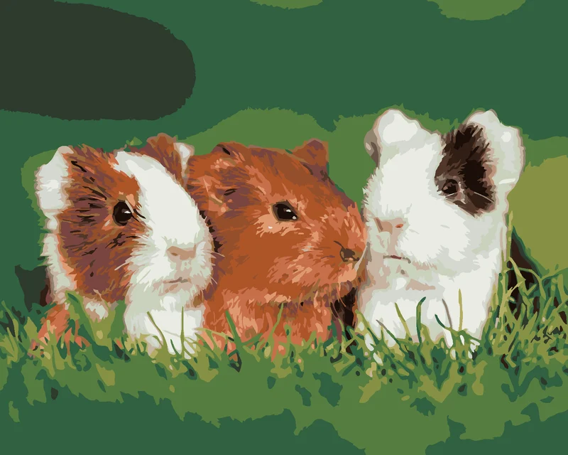 Diamond painting - MEERSCHWEINCHEN AUF DEM GRAS