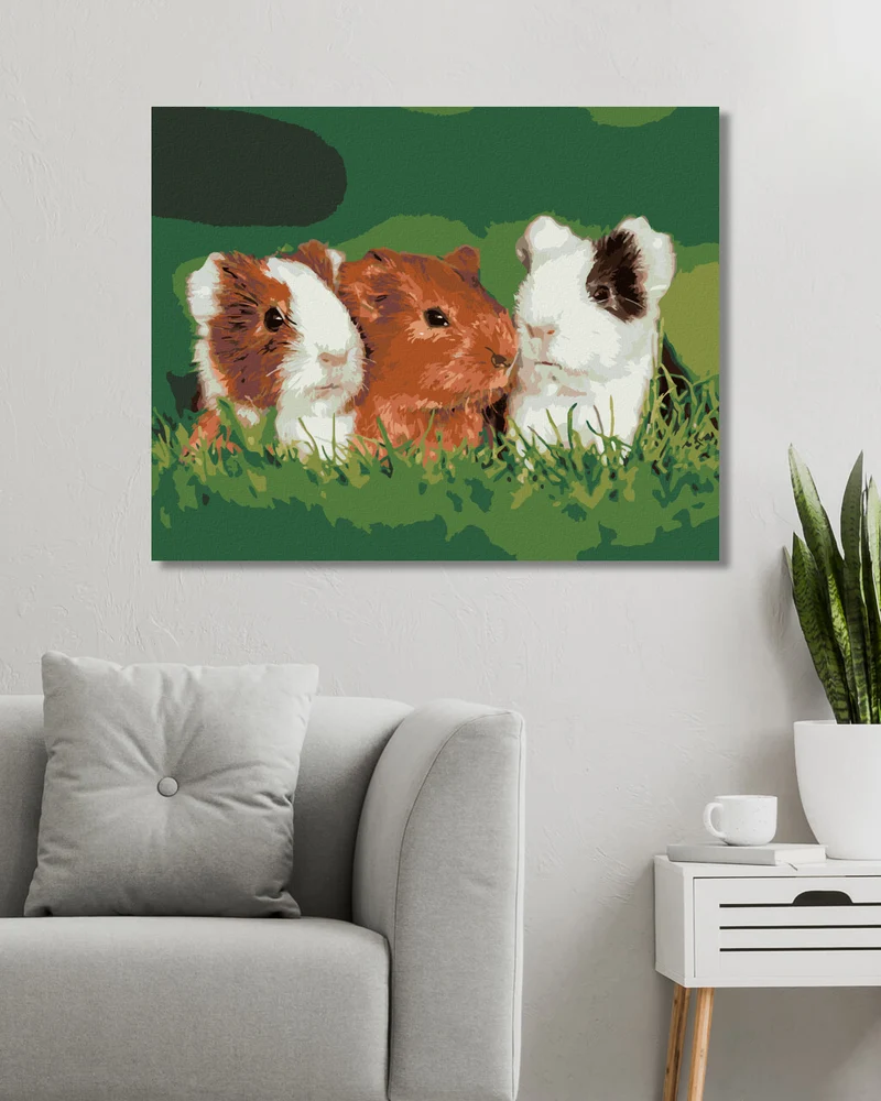 Diamond painting - MEERSCHWEINCHEN AUF DEM GRAS