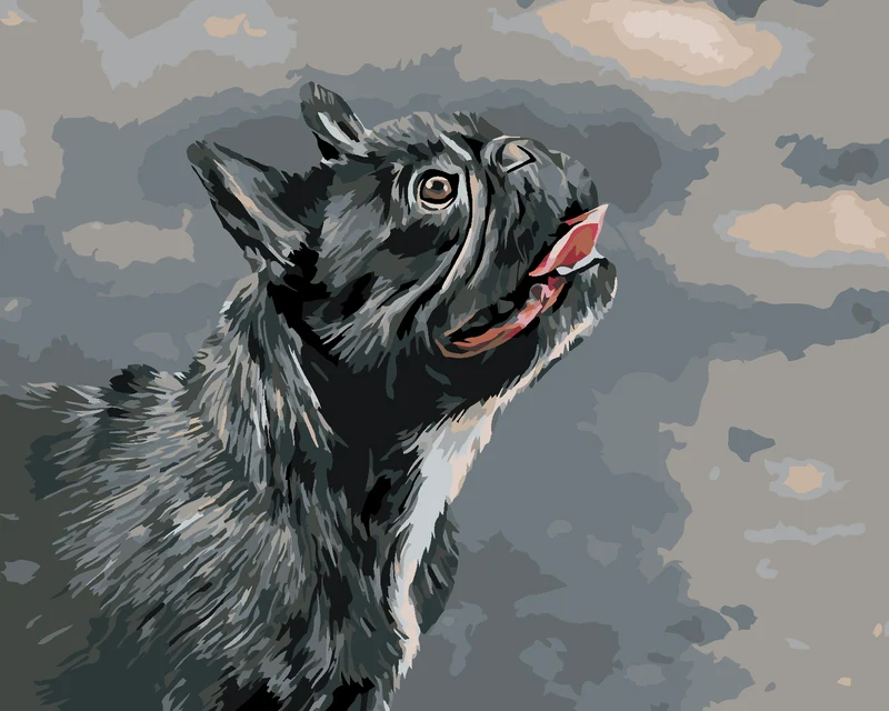Diamond painting - HOCHSCHAUENDE FRANZÖSISCHE BULLDOGGE