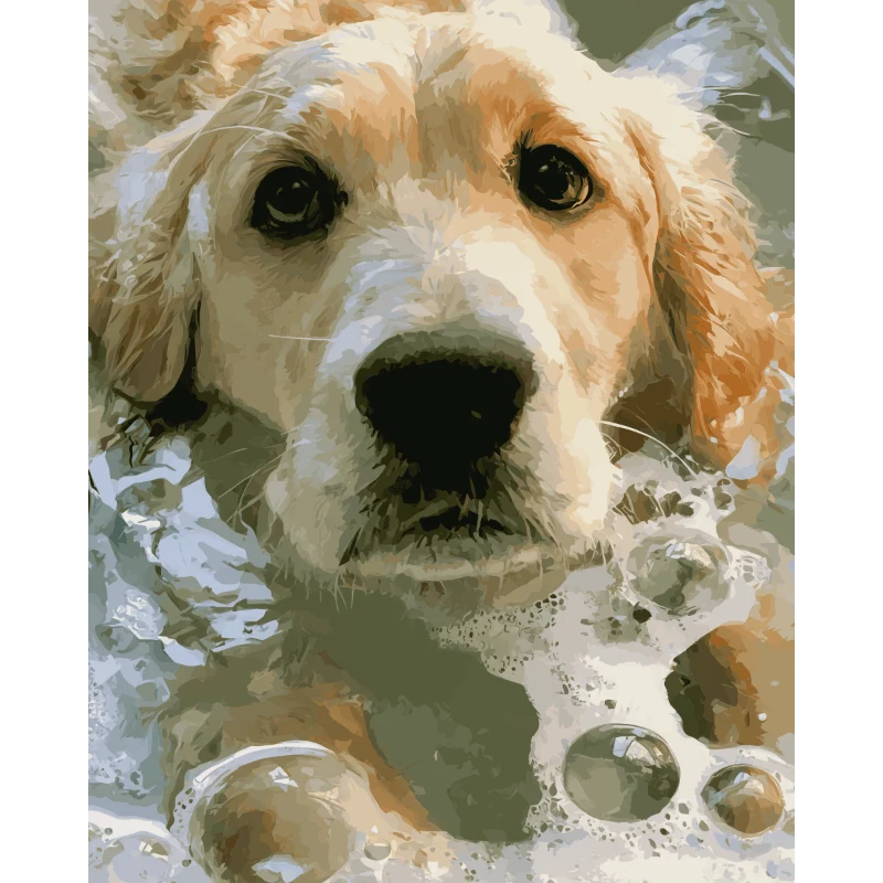 Seifennasser Golden Retriever