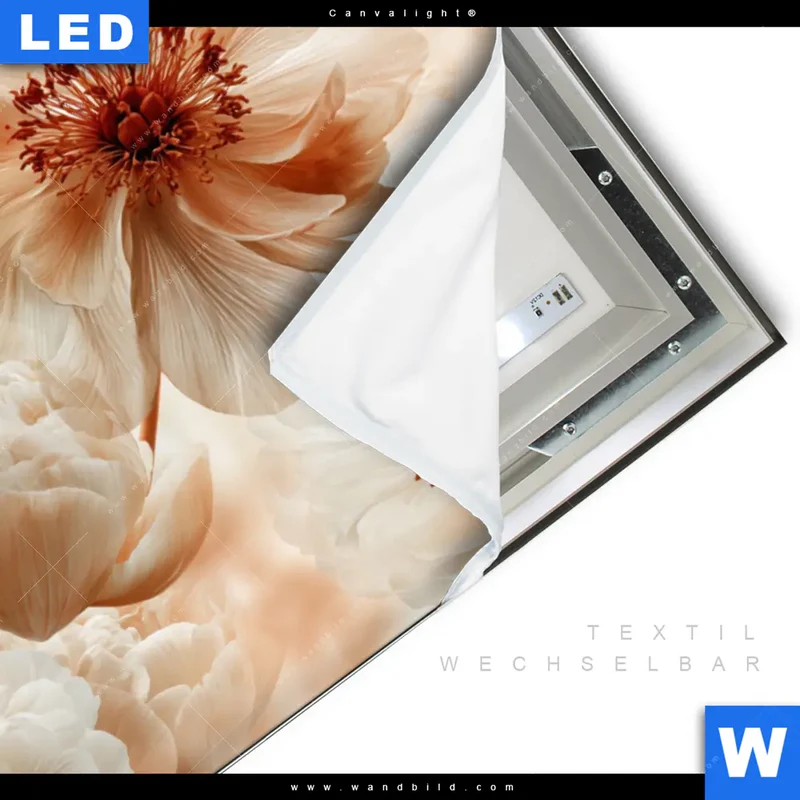 Canvalight® Leuchtbild | Pfingstrosen im Morgenlicht | Querformat