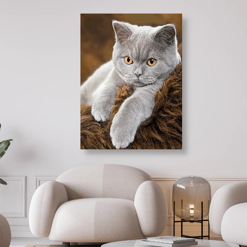 Graue Katze liegt auf Fell - 5D DIY Diamond Painting