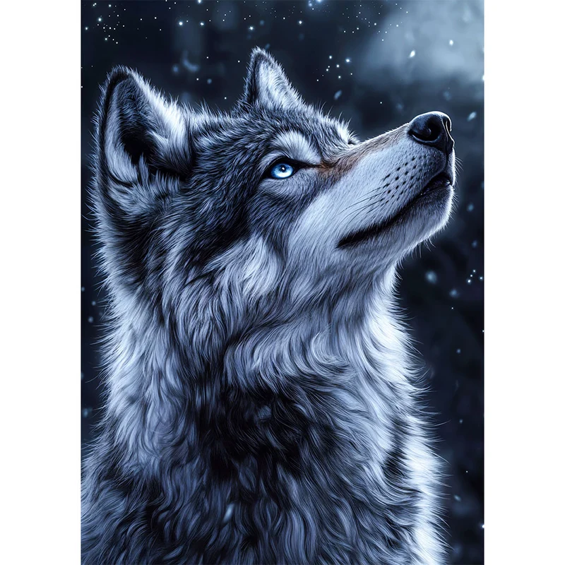 5D Diamond Painting – Blick in die Sterne