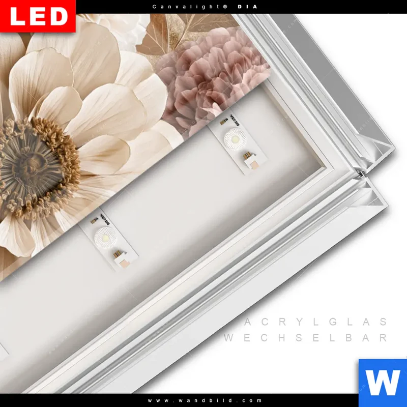 Leuchtbild Acrylglas Canvalight® DIA | Rosé Garden | Hochformat