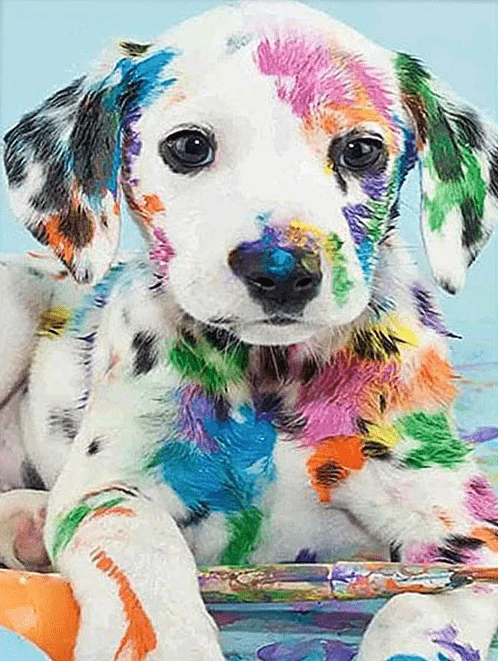 Dalmatiner Welpe bunt angemalt - 5D DIY Diamond Painting