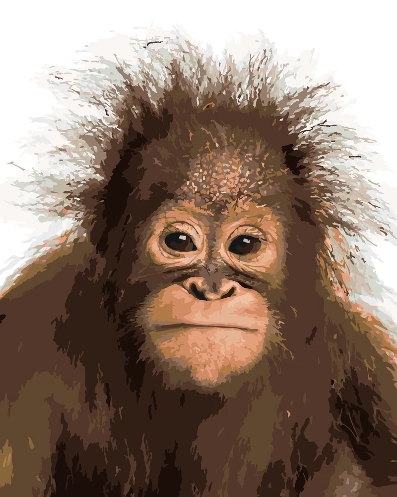 Diamond painting - JUNGER ORANGUTAN