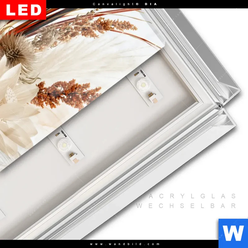 Leuchtbild Acrylglas Canvalight® DIA | Buddha – Harmonie der Natur | Hochformat
