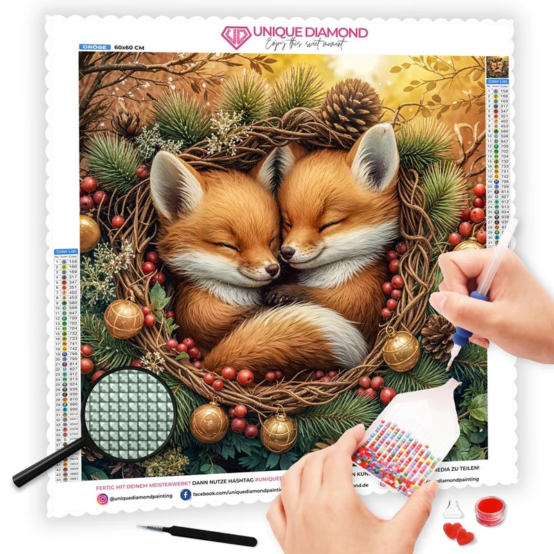 5D Diamond Painting – Zwei Fuchsjunge im Winterkranz