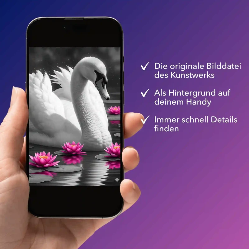 Digitale Bildmappe - Schwan im Seerosensee