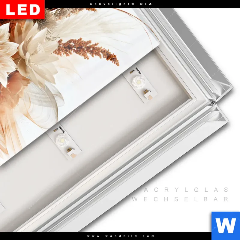 Leuchtbild Acrylglas Canvalight® DIA | Buddha – Harmonie der Natur | Quadrat