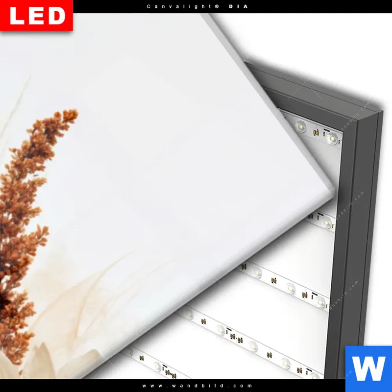 Wechselmotiv Acrylglas Canvalight® DIA | Buddha – Harmonie der Natur | Panorama
