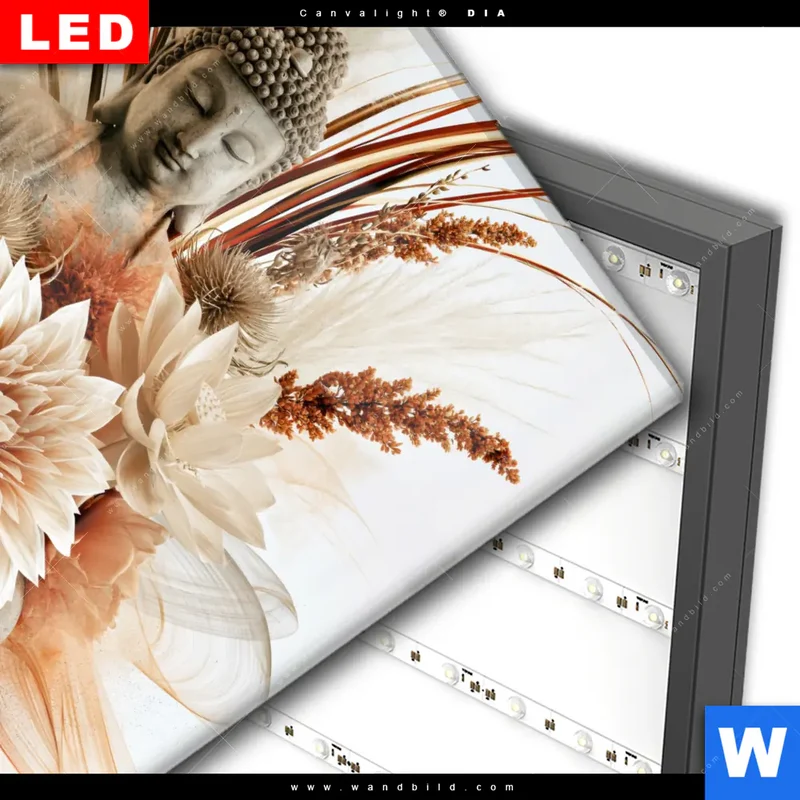Wechselmotiv Acrylglas Canvalight® DIA | Buddha – Harmonie der Natur | Quadrat