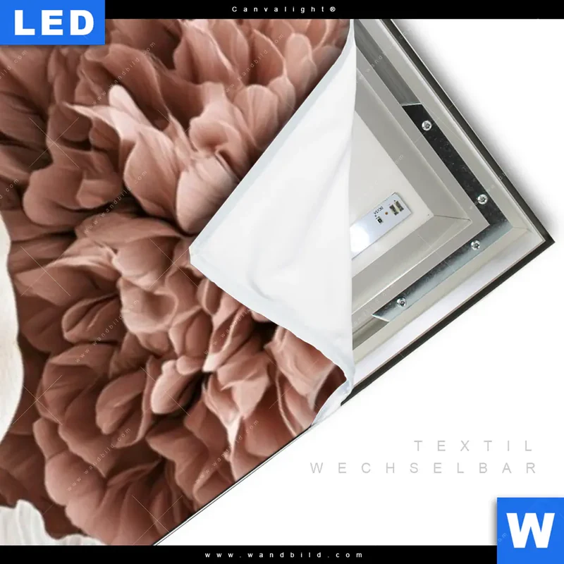Canvalight® Leuchtbild | Rosé Garden | Schmal