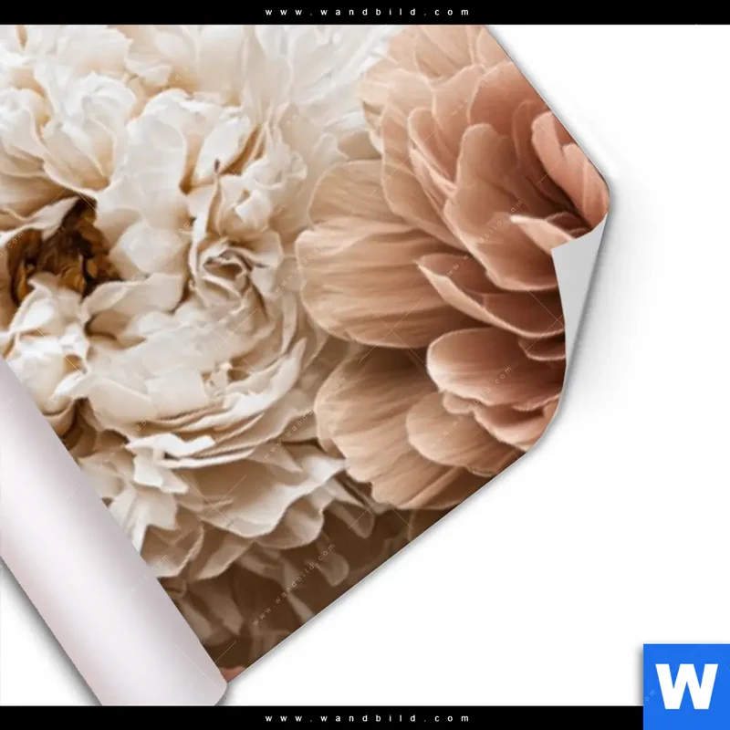 Poster | Rosé Garden | Panorama