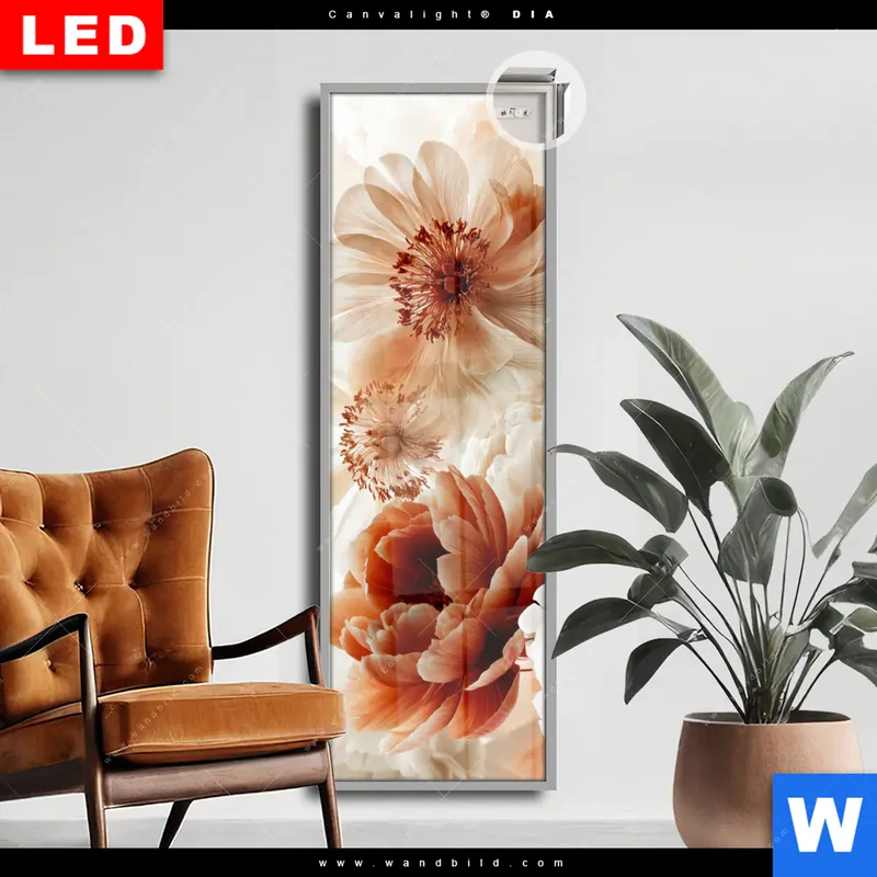 Leuchtbild Acrylglas Canvalight® DIA | Pfingstrosen im Morgenlicht | Schmal