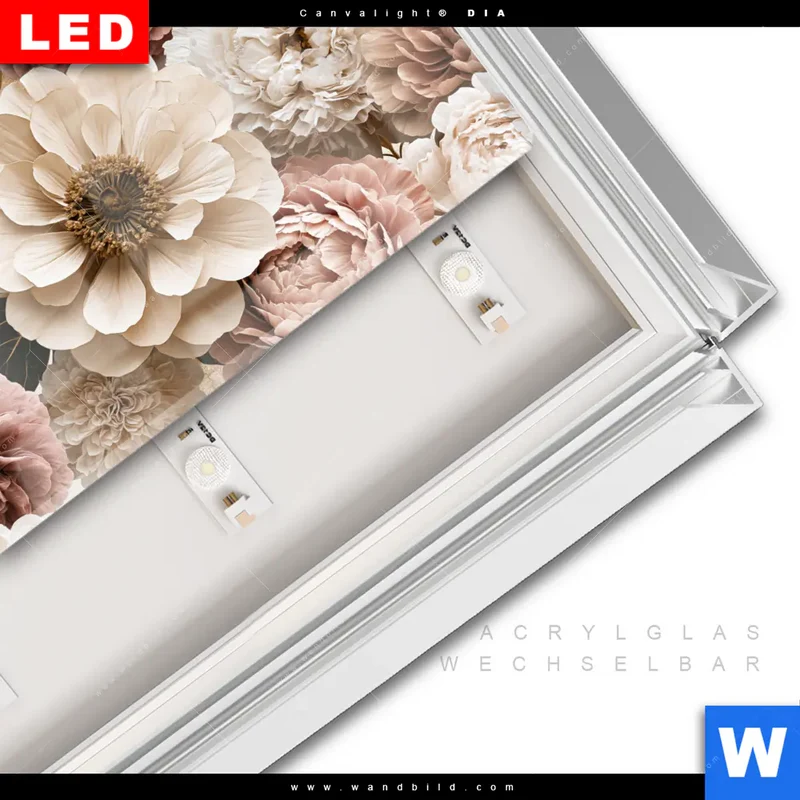 Leuchtbild Acrylglas Canvalight® DIA | Rosé Garden | Querformat