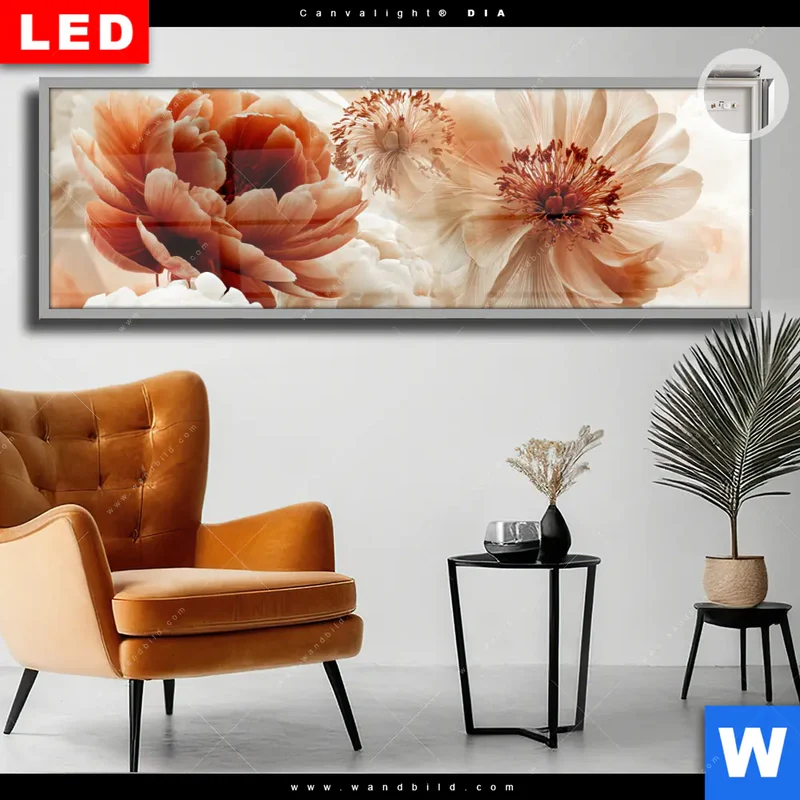 Leuchtbild Acrylglas Canvalight® DIA | Pfingstrosen im Morgenlicht | Panorama