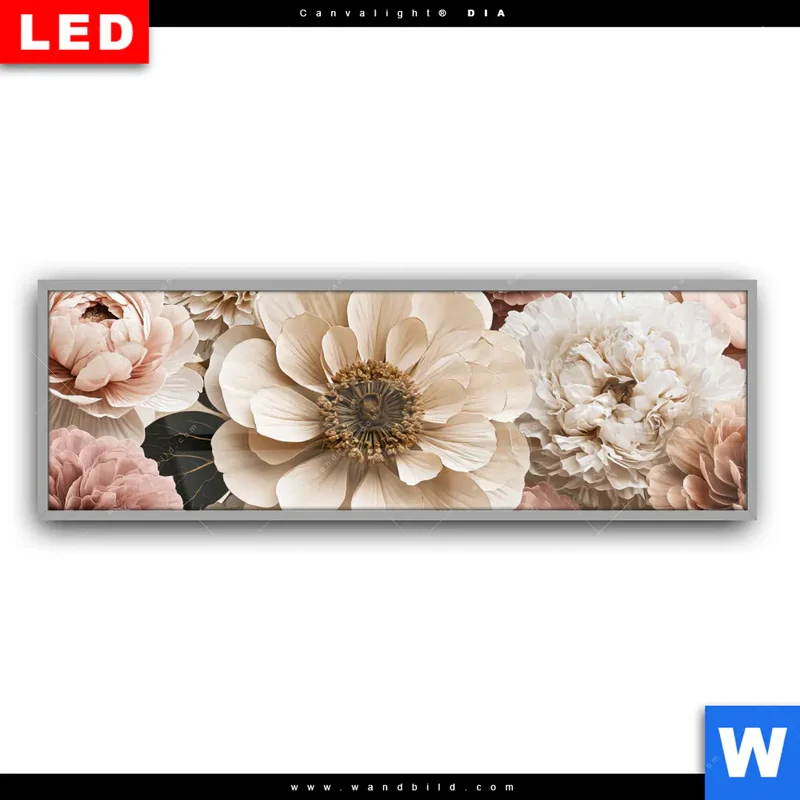 Leuchtbild Acrylglas Canvalight® DIA | Rosé Garden | Panorama