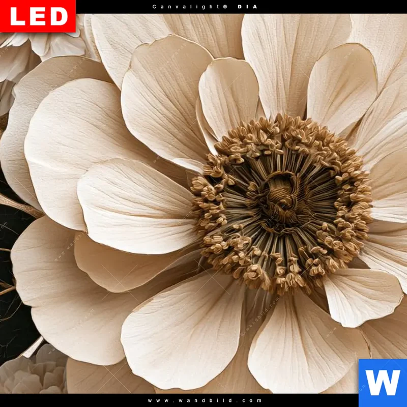Leuchtbild Acrylglas Canvalight® DIA | Rosé Garden | Panorama