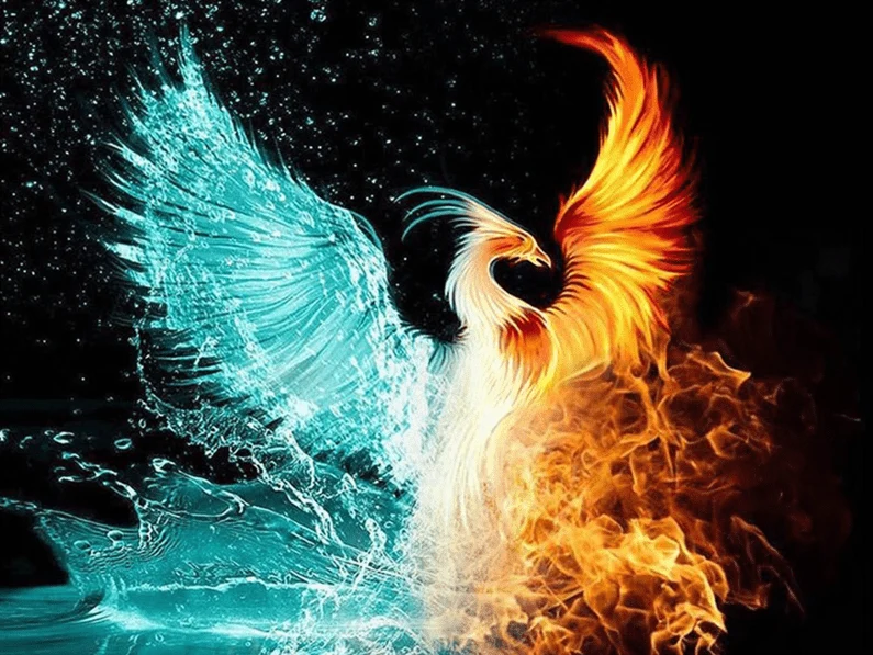 Feuervogel der Elemente Feuer Wasser Phoenix -5D DIY Diamond Painting