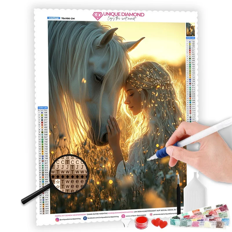 5D Diamond Painting – Lichtspiel der Freundschaft
