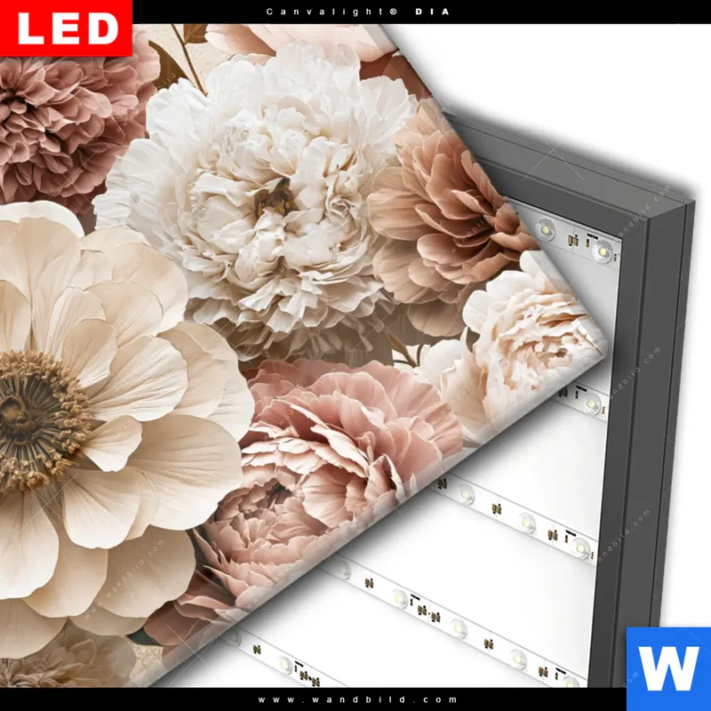 Wechselmotiv Acrylglas Canvalight® DIA | Rosé Garden | Querformat
