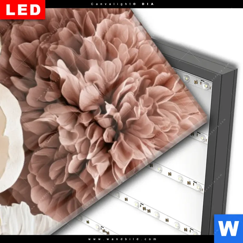 Wechselmotiv Acrylglas Canvalight® DIA | Rosé Garden | Schmal