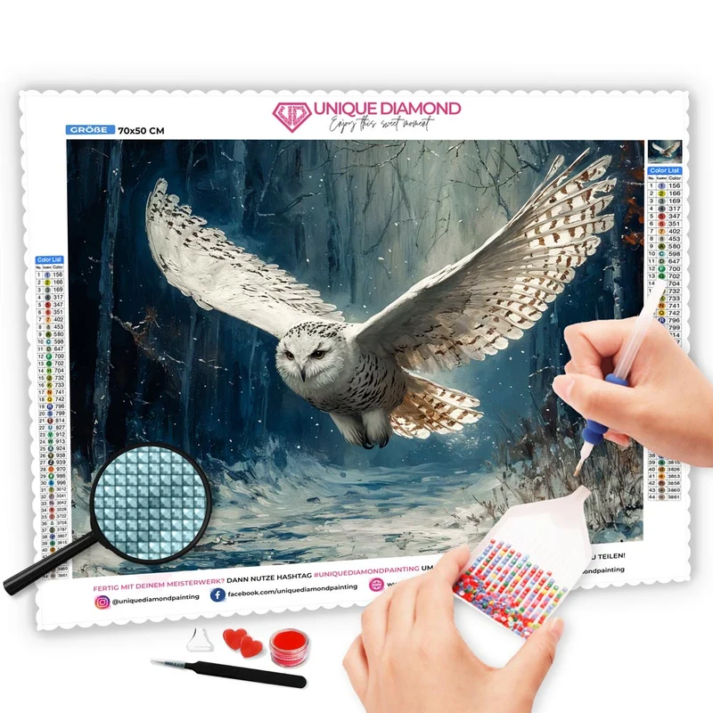 5D Diamond Painting – Eule im Winterwald