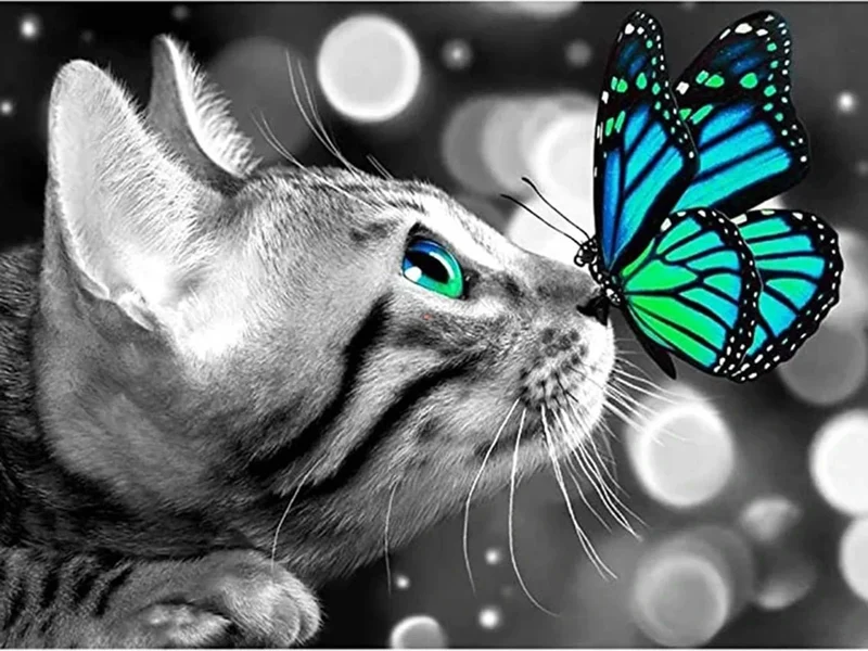 Katze mit Schmetterling auf der Nase LA - Voll AB 5D DIY Diamond Painting