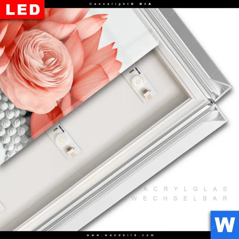 Leuchtbild Acrylglas Canvalight® DIA | Buddha mit Blütenkrone | Schmal