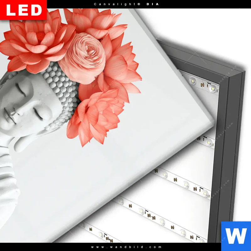 Wechselmotiv Acrylglas Canvalight® DIA | Buddha mit Blütenkrone | Quadrat