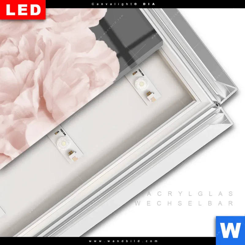 Leuchtbild Acrylglas Canvalight® DIA | Buddha - Blüten der Stille | Schmal