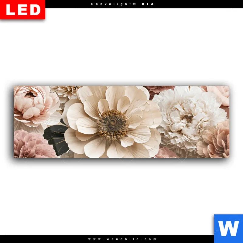 Wechselmotiv Acrylglas Canvalight® DIA | Rosé Garden | Panorama