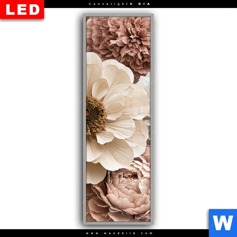 Leuchtbild Acrylglas Canvalight® DIA | Rosé Garden | Schmal