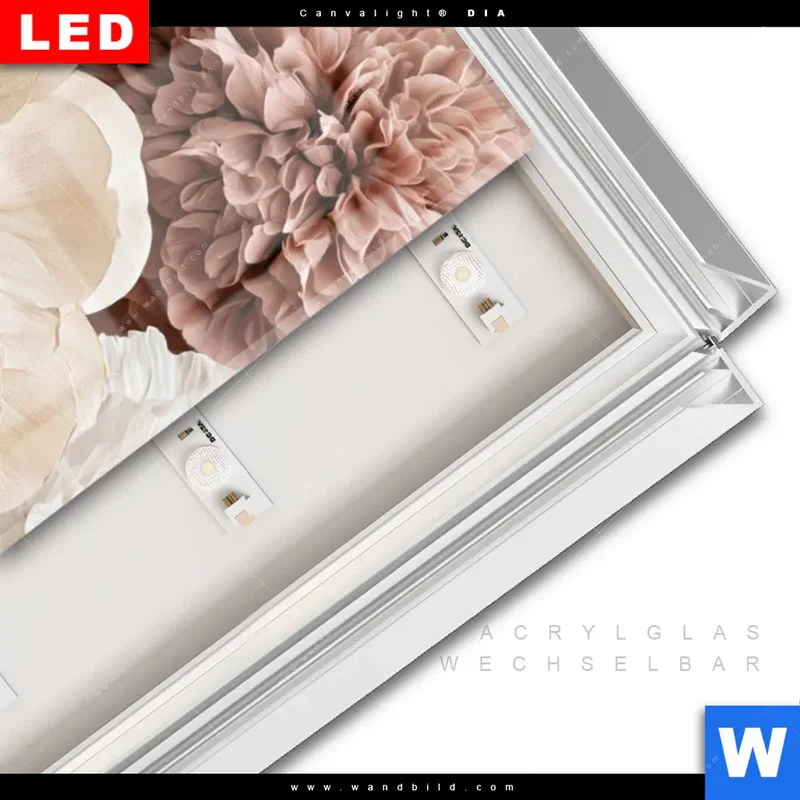 Leuchtbild Acrylglas Canvalight® DIA | Rosé Garden | Schmal