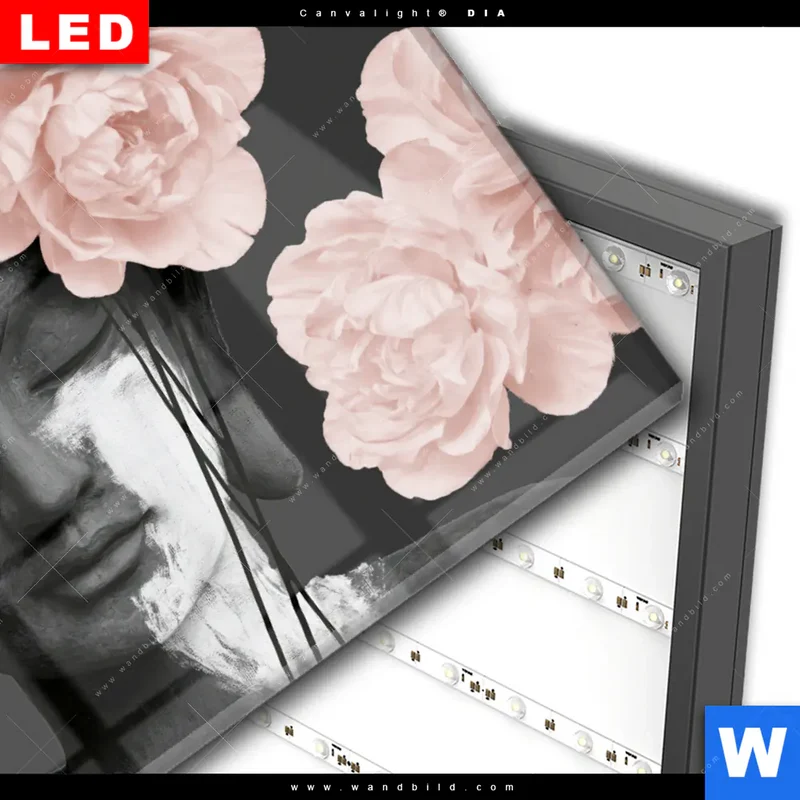 Wechselmotiv Acrylglas Canvalight® DIA | Buddha - Blüten der Stille | Querformat
