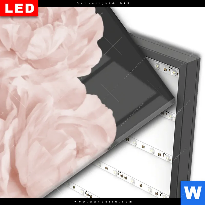Wechselmotiv Acrylglas Canvalight® DIA | Buddha - Blüten der Stille | Schmal
