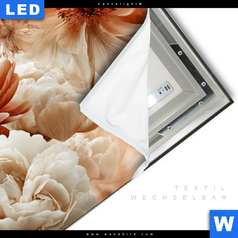 Canvalight® Leuchtbild | Pfingstrosen im Morgenlicht | Quadrat