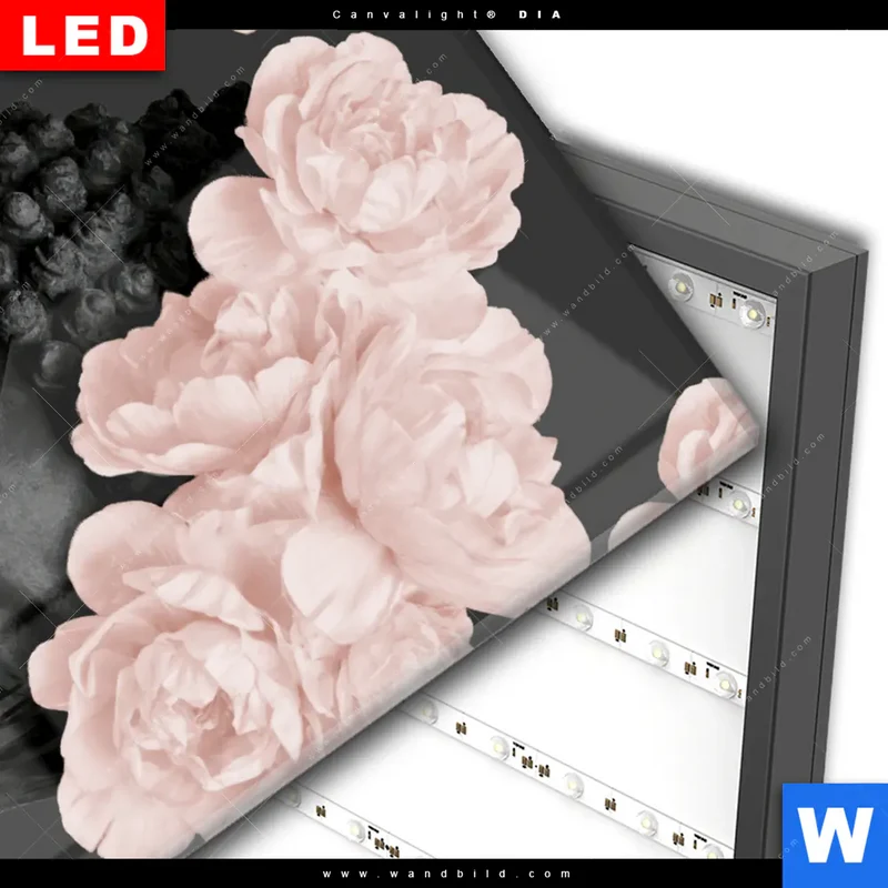 Wechselmotiv Acrylglas Canvalight® DIA | Buddha - Blüten der Stille | Hochformat