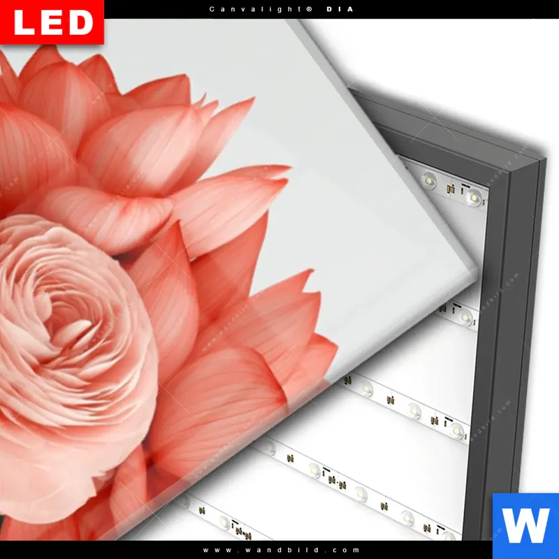 Wechselmotiv Acrylglas Canvalight® DIA | Buddha mit Blütenkrone | Schmal