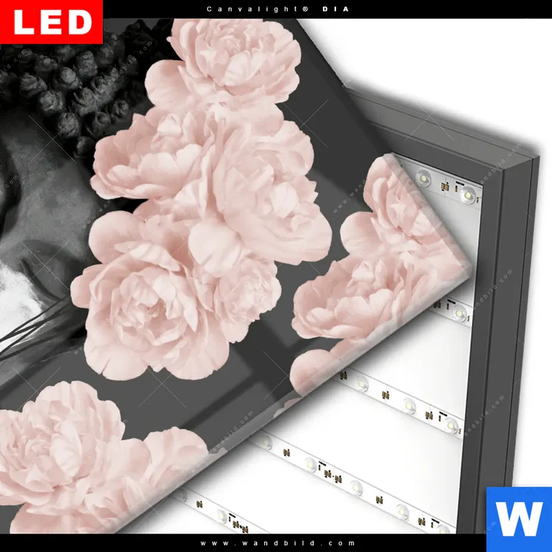 Wechselmotiv Acrylglas Canvalight® DIA | Buddha - Blüten der Stille | Quadrat