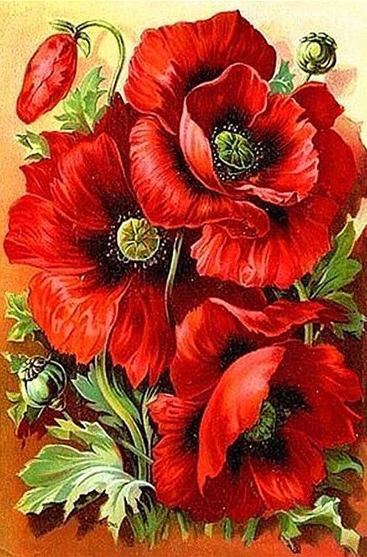 Red Flowers PIX-96