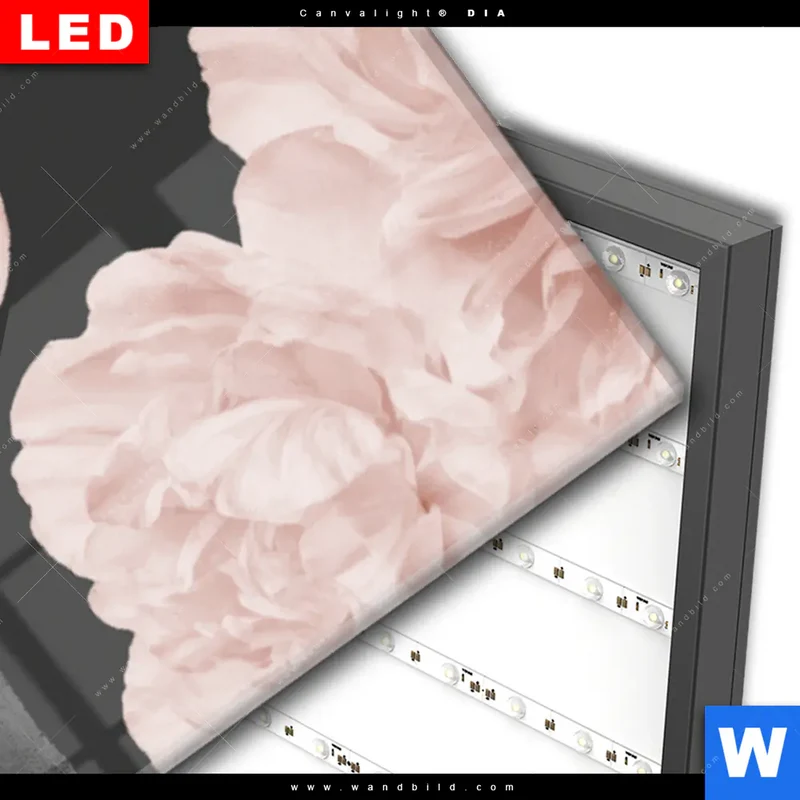 Wechselmotiv Acrylglas Canvalight® DIA | Buddha - Blüten der Stille | Panorama