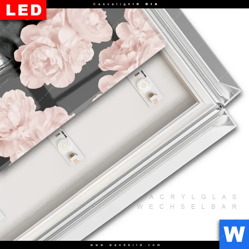 Leuchtbild Acrylglas Canvalight® DIA | Buddha - Blüten der Stille | Quadrat