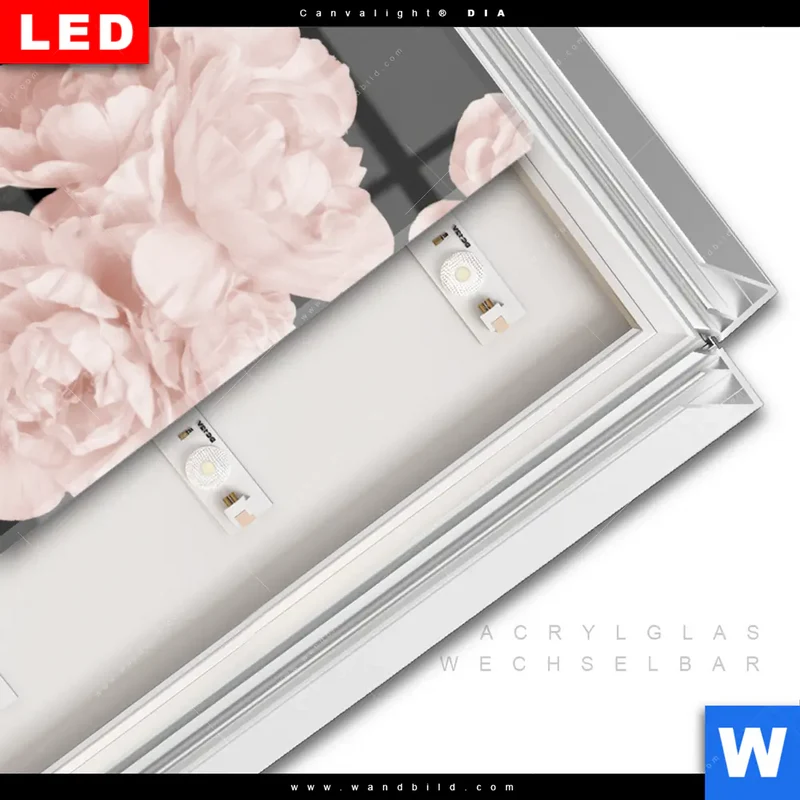 Leuchtbild Acrylglas Canvalight® DIA | Buddha - Blüten der Stille | Hochformat