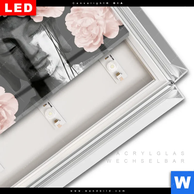 Leuchtbild Acrylglas Canvalight® DIA | Buddha - Blüten der Stille | Querformat