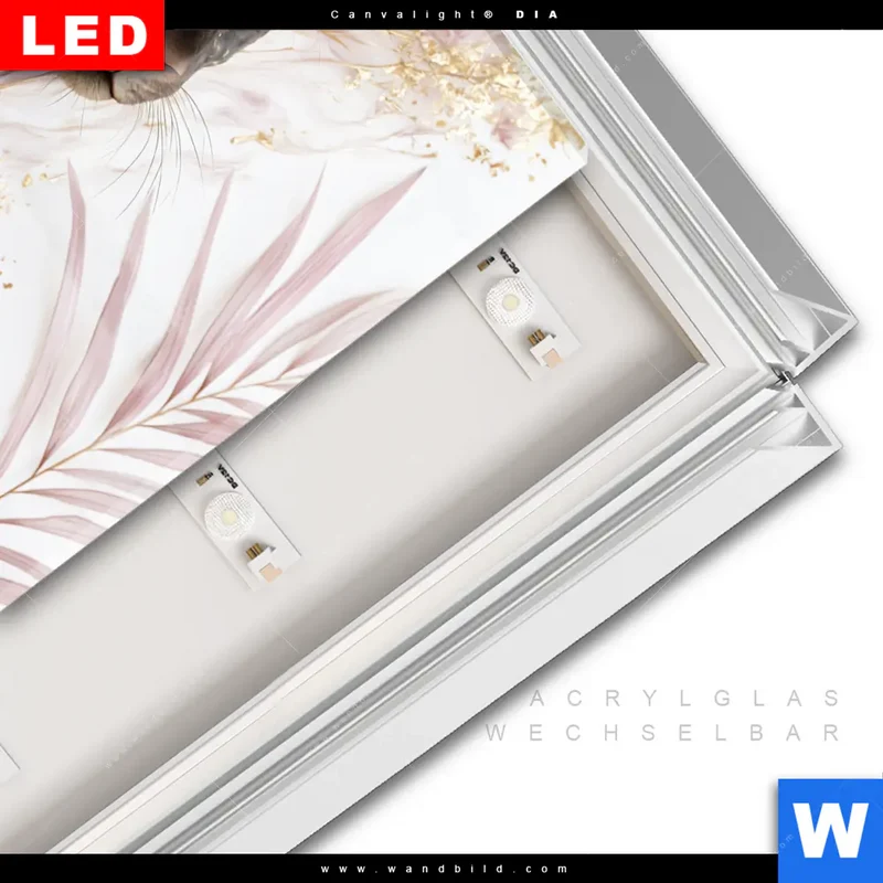 Leuchtbild Acrylglas Canvalight® DIA | Panther Glow | Quadrat