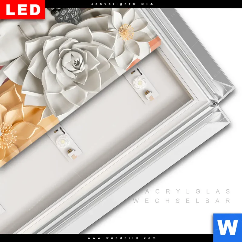 Leuchtbild Acrylglas Canvalight® DIA | Buddha - Zen & Lotus | Quadrat
