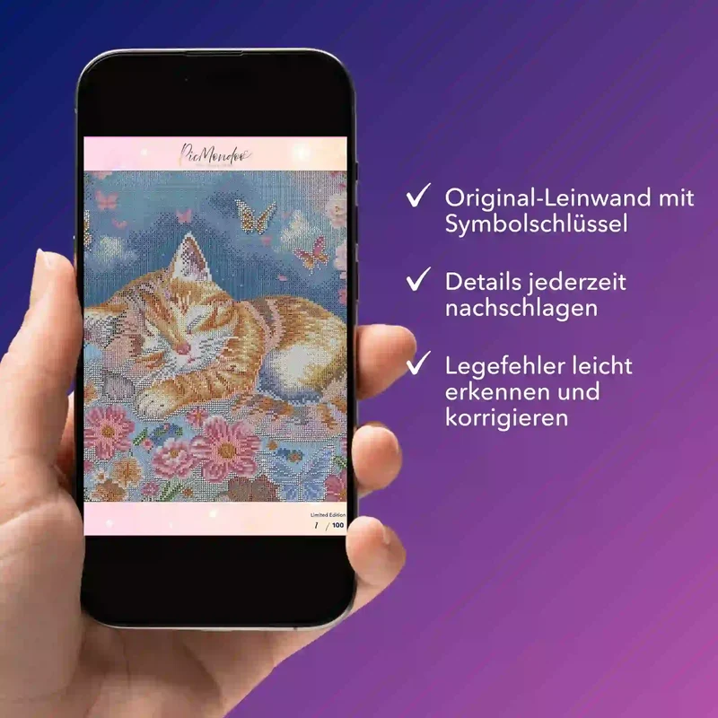 Digitale Bildmappe - Dreamer "Limited Edition"