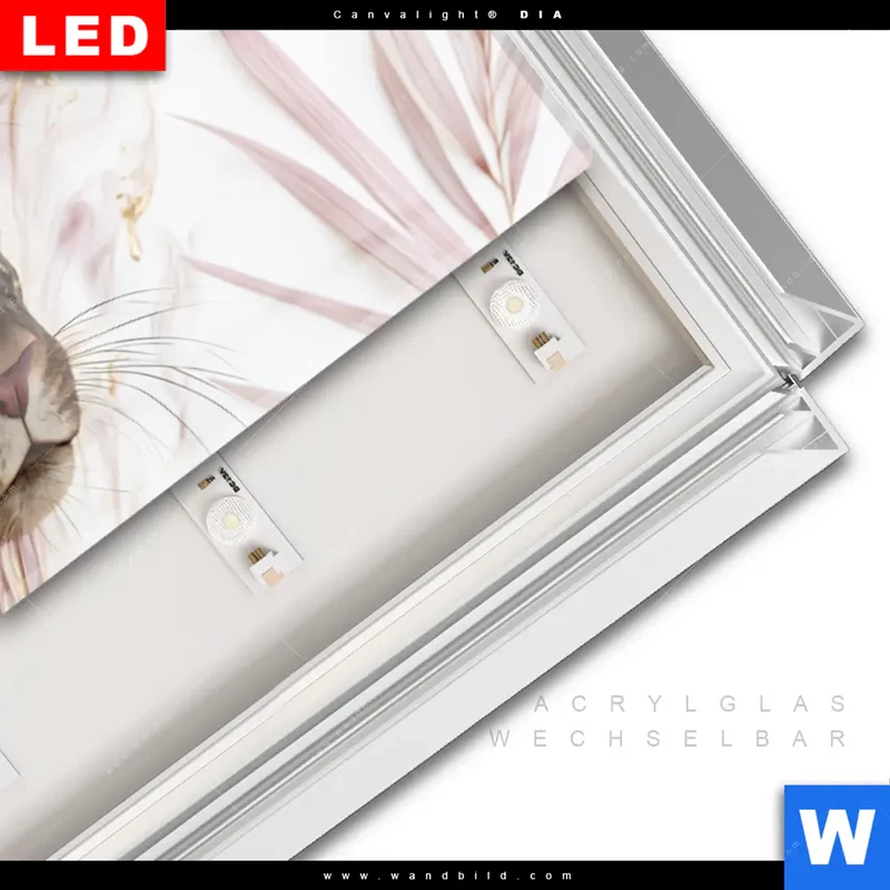 Leuchtbild Acrylglas Canvalight® DIA | Panther Glow | Panorama